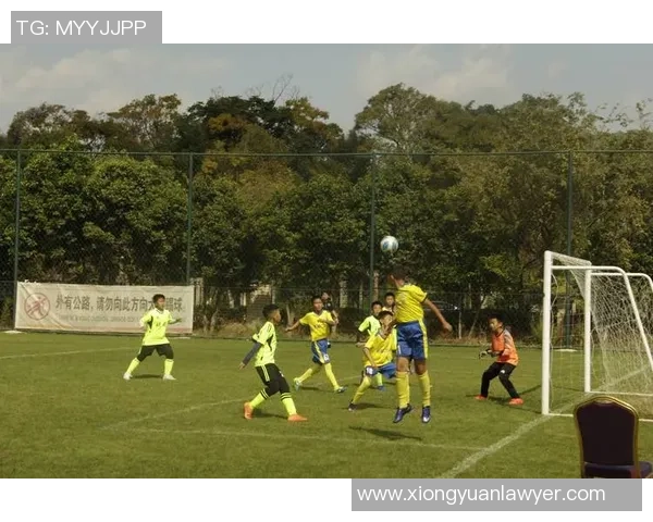 球星齐聚野球场激情对决点燃足球梦想新篇章