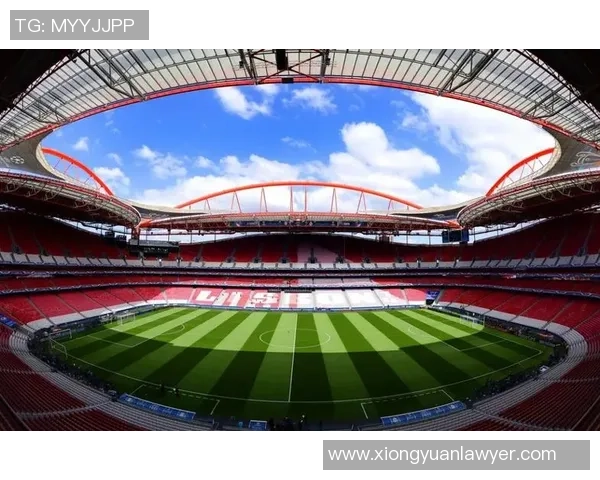 足球巨星全景风采展现全球球迷热情与荣耀时刻